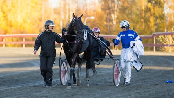 Foto: OLA WESTERBERG / TR BILD