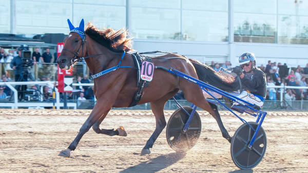 Foto: MIKAEL ROSENQUIST / TR BILD