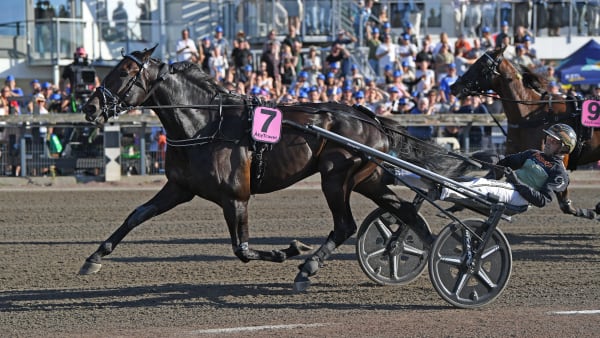 Foto: MALIN ALBINSSON / TR BILD