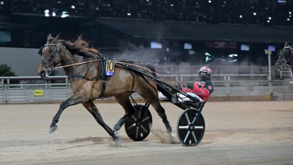 Foto: LARS JAKOBSSON / TR BILD