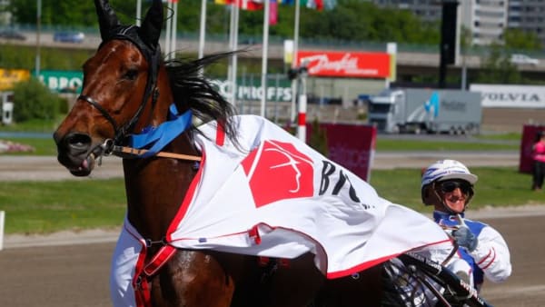 Foto: MICKE GUSTAFSSON/ALN