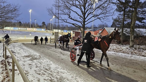 Foto: ANDREAS JÖNSSON