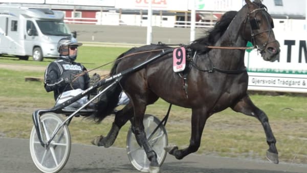 Foto: LEIF NORBERG/ALN