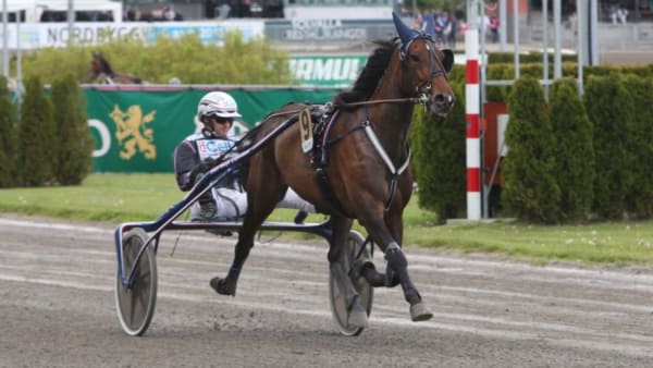 Foto: JEANNIE KARLSSON