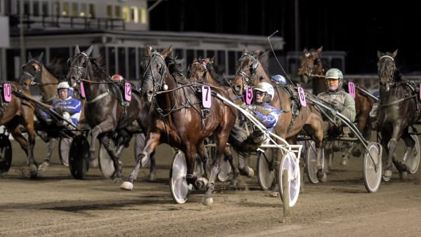 Foto: LARS JAKOBSSON / TR BILD