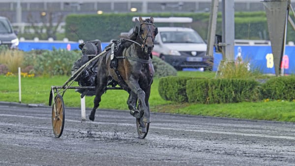 Foto: JEAN-LUC LAMAÈRE/TR BILD