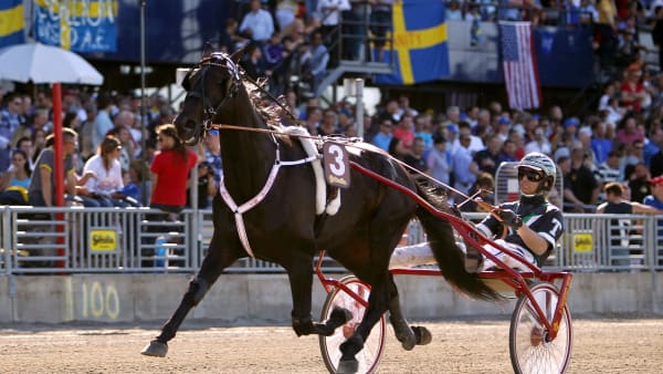 Foto: MARIA HOLMÉN / TR BILD