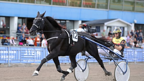 Foto: MARIA HOLMÉN / TR BILD