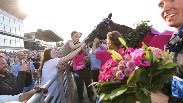 Foto: MARIA HOLMÉN/TRAVRONDEN