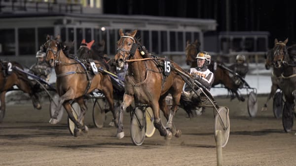 Foto: LARS JAKOBSSON / TR BILD