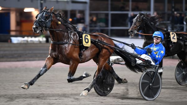 Foto: MALIN ALBINSSON / TR BILD