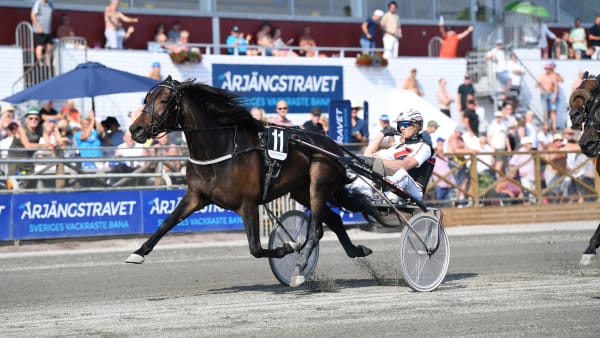 Foto: Malin Albinsson/TR Bild