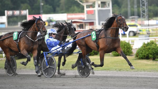 Foto: MALIN ALBINSSON / TR BILD