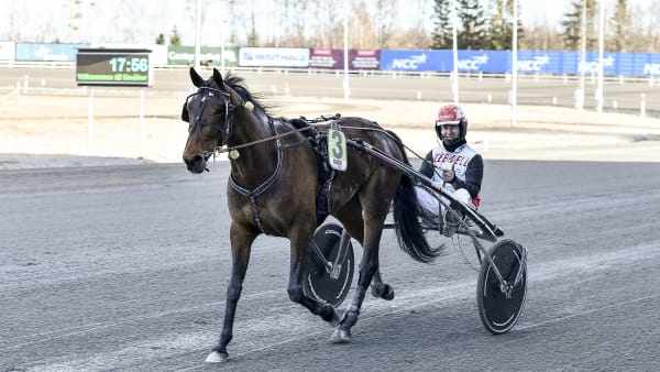 Foto: JENNY REHNMAN / TR BILD