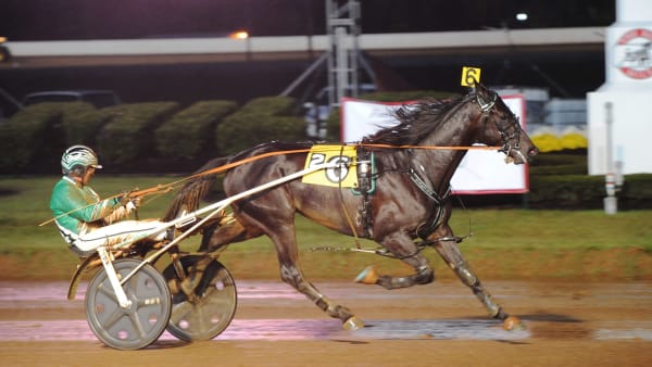 Foto: Adam Ström/stalltz.se