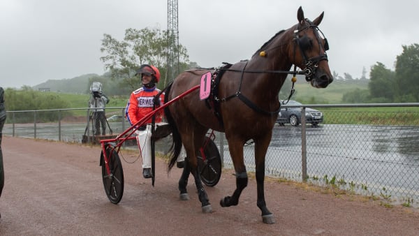 Foto: MIKAEL ROSENQUIST / TR BILD