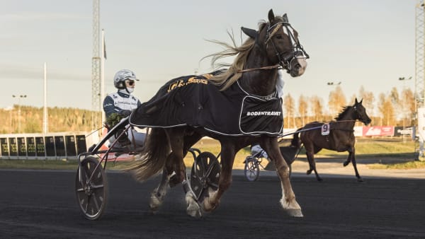 Foto: LENA EMMOTH / TR BILD