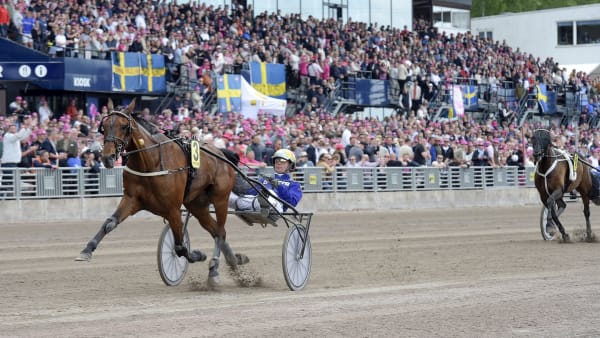 Foto: LARS JAKOBSSON / TR BILD