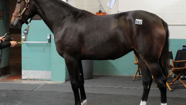 Foto: Stefan Melander/stalltz.se