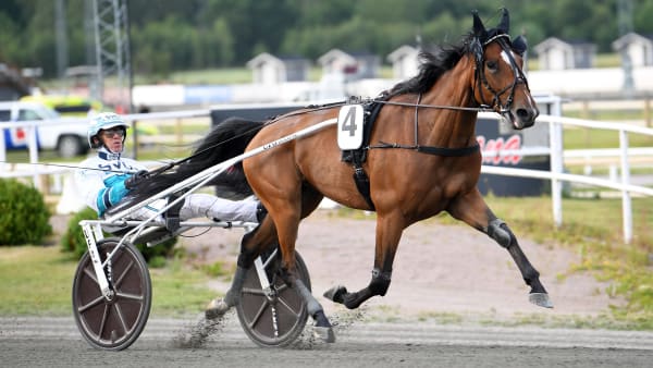 Foto: MALIN ALBINSSON / TR BILD