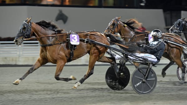 Foto: LARS JAKOBSSON/KANAL 75