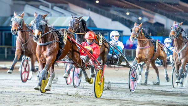 Foto: Mikael Rosenquist/TR Bild