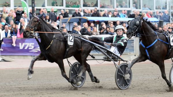 Foto: MALIN ALBINSSON/TR BILD