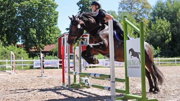 Foto: MARIA HOLMÉN / TR BILD