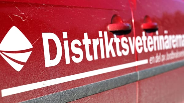 Foto: MARIA HOLMÉN / TR BILD