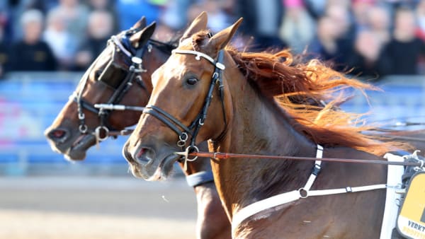 Foto: MIA TÖRNBERG, TR BILD