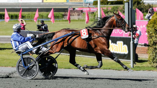 Foto: LENA EMMOTH / TR BILD