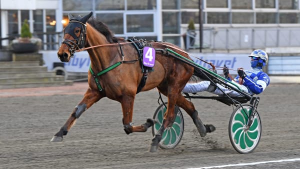 Foto: MALIN ALBINSSON / TR BILD