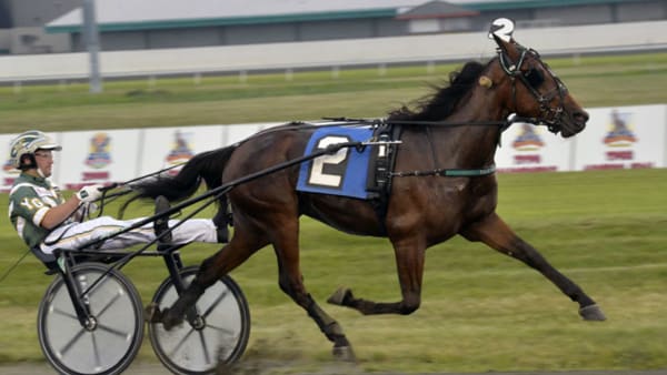 Foto: Stefan Melander/stalltz.se