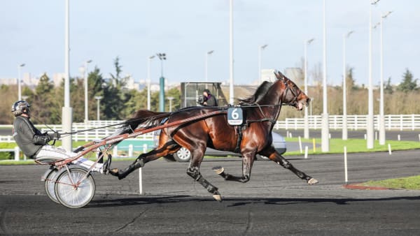 Foto: BRUNO VANDEVELDE/LE TROT