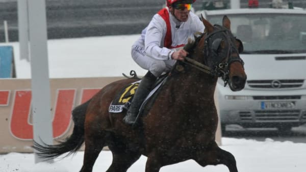 Foto: STEFAN MELANDER/STALLTZ.SE