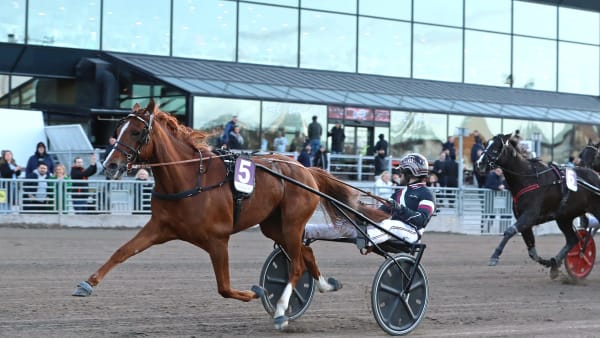 Foto: MARIA HOLMÉN / TR BILD