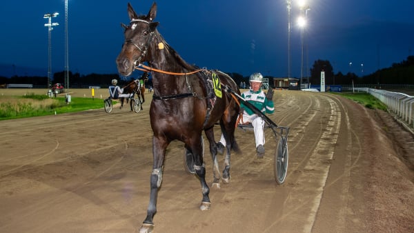 Foto: MIKAEL ROSENQUIST / TR BILD