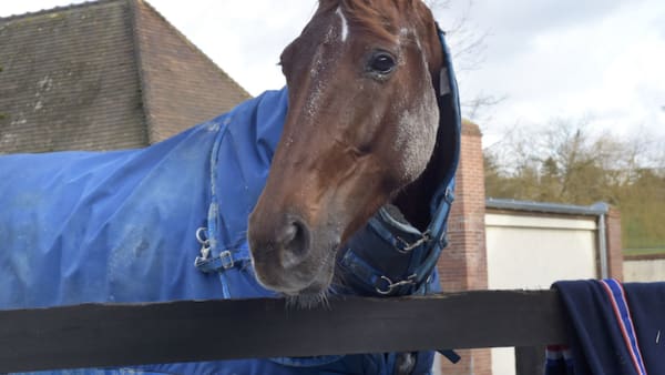 Foto: LARS JAKOBSSON/TR BILD