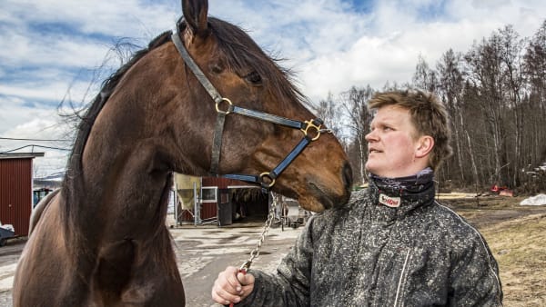 Foto: Svante Harström/TR BILD