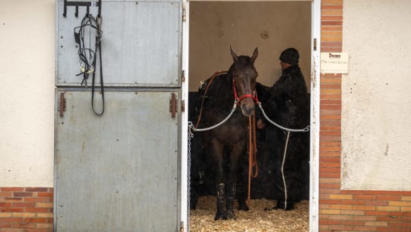 Foto: THOMAS BLOMQVIST / TR BILD