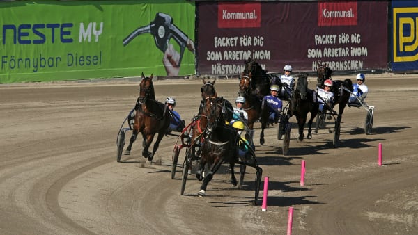 Foto: MATILDA ÖHRMAN / TR BILD