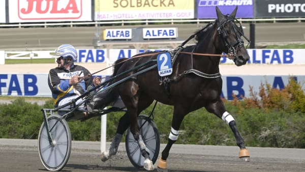 Foto: LARS JAKOBSSON / TR BILD