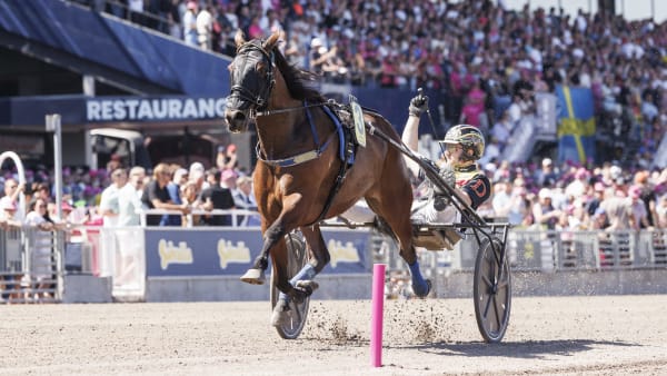 Foto: LENA EMMOTH / TR BILD
