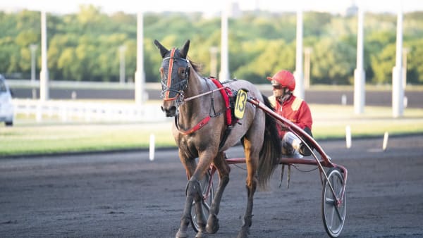 Foto: Tony Ryttar/TR BILD