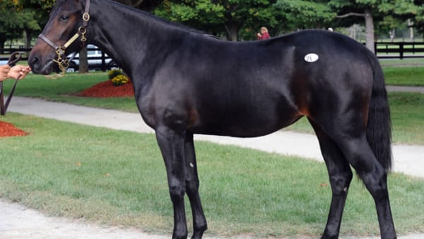 Foto: Stefan Melander/stalltz.se