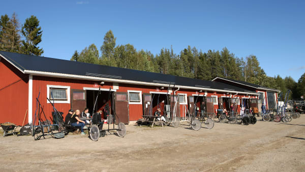 Foto: MARIA HOLMÉN / TR BILD