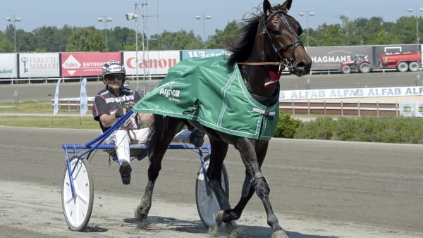 Foto: LARS JAKOBSSON / TR BILD