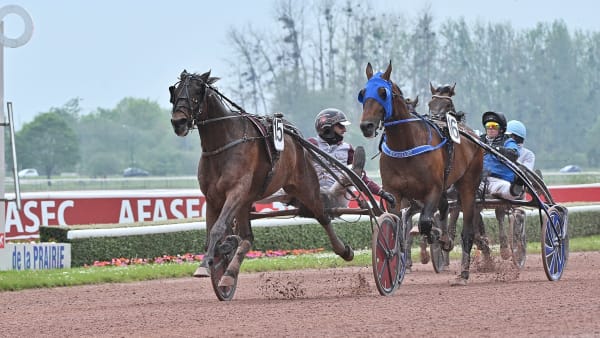 Foto: Jean-Luc Lamaere/ LE TROT