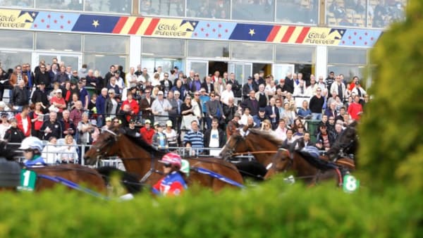 Foto: MICKE GUSTAFSSON/ALN