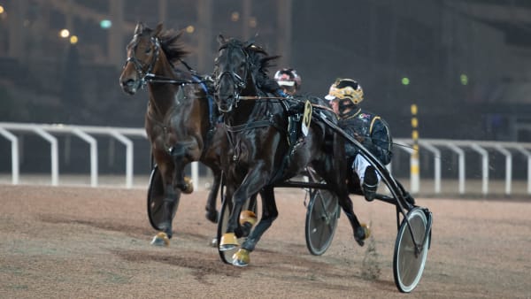 Foto: MIKAEL ROSENQUIST / TR BILD